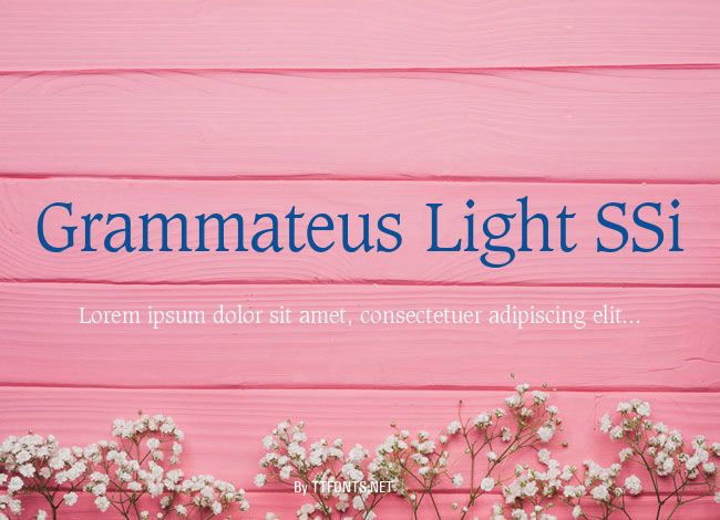 Grammateus Light SSi example